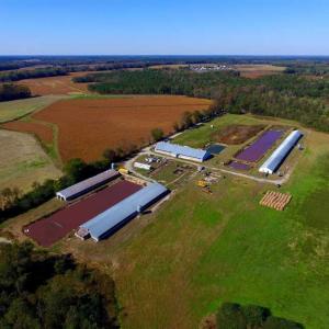 Photo of SOLD!!  118 Acre Livestock Farming Operation for Sale in Nash County NC!