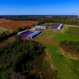 Photo of SOLD!!  118 Acre Livestock Farming Operation for Sale in Nash County NC!