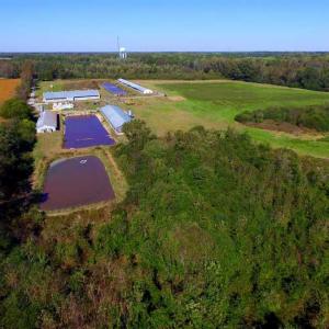 Photo of SOLD!!  118 Acre Livestock Farming Operation for Sale in Nash County NC!