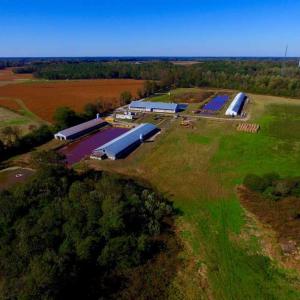 Photo of SOLD!!  118 Acre Livestock Farming Operation for Sale in Nash County NC!