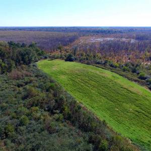 Photo of SOLD!!  118 Acre Livestock Farming Operation for Sale in Nash County NC!