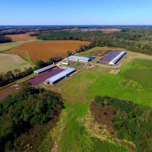 Photo of SOLD!!  118 Acre Livestock Farming Operation for Sale in Nash County NC!