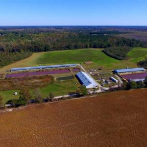 Photo of SOLD!!  118 Acre Livestock Farming Operation for Sale in Nash County NC!