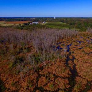 Photo of SOLD!!  118 Acre Livestock Farming Operation for Sale in Nash County NC!
