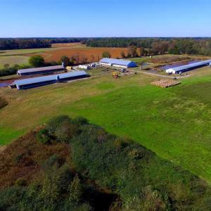 Photo of SOLD!!  118 Acre Livestock Farming Operation for Sale in Nash County NC!