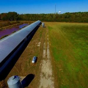 Photo of SOLD!!  118 Acre Livestock Farming Operation for Sale in Nash County NC!