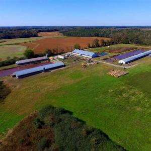Photo of SOLD!!  118 Acre Livestock Farming Operation for Sale in Nash County NC!