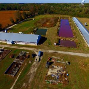 Photo of SOLD!!  118 Acre Livestock Farming Operation for Sale in Nash County NC!