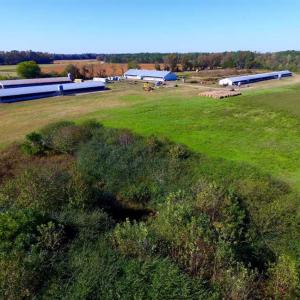 Photo of SOLD!!  118 Acre Livestock Farming Operation for Sale in Nash County NC!