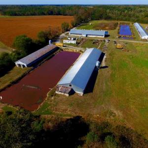 Photo of SOLD!!  118 Acre Livestock Farming Operation for Sale in Nash County NC!