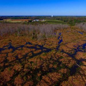 Photo of SOLD!!  118 Acre Livestock Farming Operation for Sale in Nash County NC!