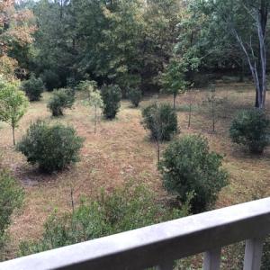 Photo of SOLD!  5.6 Acre Waterfront Lot with Home For Sale in Camden County NC!