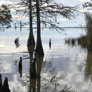 Photo of SOLD!  5.6 Acre Waterfront Lot with Home For Sale in Camden County NC!