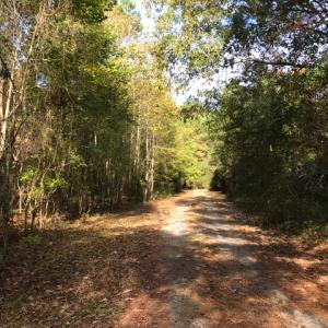 Photo of SOLD!  5.6 Acre Waterfront Lot with Home For Sale in Camden County NC!