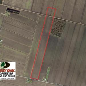 Photo of SOLD!  25 Acres of Farmland For Sale in Hyde County NC!