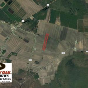 Photo of SOLD!  25 Acres of Farmland For Sale in Hyde County NC!