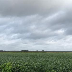 Photo of SOLD!  25 Acres of Farmland For Sale in Hyde County NC!