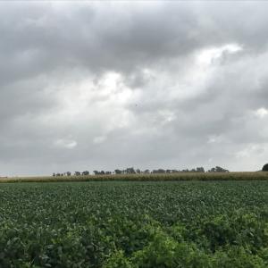Photo of SOLD!  25 Acres of Farmland For Sale in Hyde County NC!