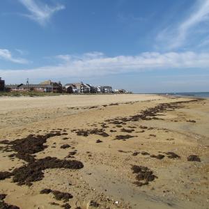 Photo of UNDER CONTRACT!  0.17 Acre Waterfront Residential Lot For Sale in Norfolk VA!