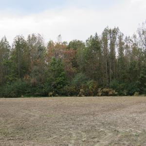 Photo of UNDER CONTRACT!  6.95 Acres of Residential Hunting and Farm Land for Sale in Columbus County NC!