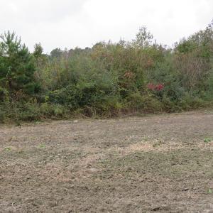 Photo of UNDER CONTRACT!  6.95 Acres of Residential Hunting and Farm Land for Sale in Columbus County NC!