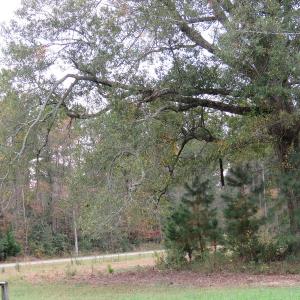 Photo of UNDER CONTRACT!  6.95 Acres of Residential Hunting and Farm Land for Sale in Columbus County NC!