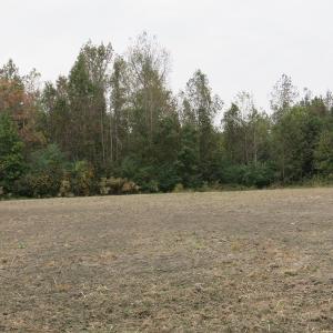Photo of UNDER CONTRACT!  6.95 Acres of Residential Hunting and Farm Land for Sale in Columbus County NC!