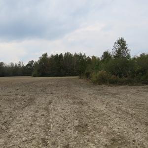 Photo of UNDER CONTRACT!  6.95 Acres of Residential Hunting and Farm Land for Sale in Columbus County NC!