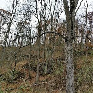 Photo of UNDER CONTRACT!  93 Acres of Hunting Land For Sale in Rockbridge County VA!