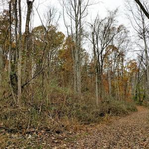 Photo of UNDER CONTRACT!  93 Acres of Hunting Land For Sale in Rockbridge County VA!