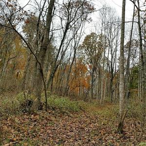 Photo of UNDER CONTRACT!  93 Acres of Hunting Land For Sale in Rockbridge County VA!