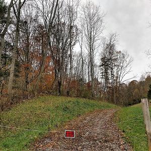 Photo of UNDER CONTRACT!  93 Acres of Hunting Land For Sale in Rockbridge County VA!