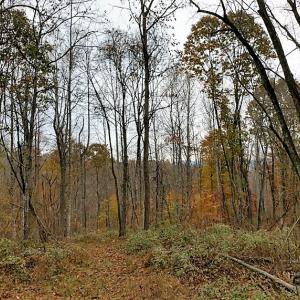 Photo of UNDER CONTRACT!  93 Acres of Hunting Land For Sale in Rockbridge County VA!