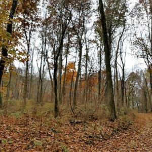 Photo of UNDER CONTRACT!  93 Acres of Hunting Land For Sale in Rockbridge County VA!