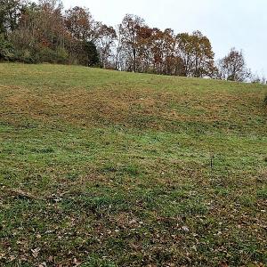 Photo of UNDER CONTRACT!  93 Acres of Hunting Land For Sale in Rockbridge County VA!
