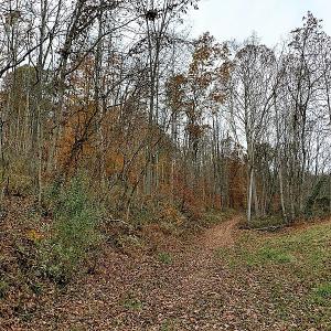 Photo of UNDER CONTRACT!  93 Acres of Hunting Land For Sale in Rockbridge County VA!