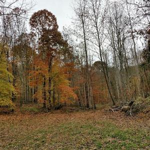 Photo of UNDER CONTRACT!  93 Acres of Hunting Land For Sale in Rockbridge County VA!
