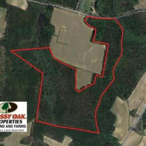 Photo of UNDER CONTRACT!  72 Acres of Hunting and Managed Timber Land For Sale in Northampton County NC!