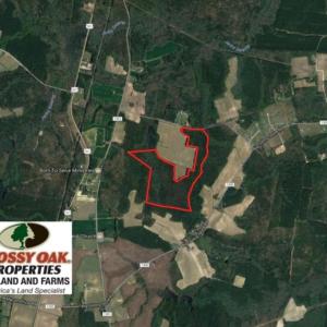 Photo of UNDER CONTRACT!  72 Acres of Hunting and Managed Timber Land For Sale in Northampton County NC!