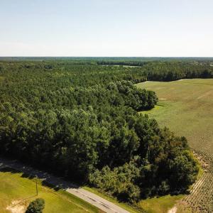 Photo of UNDER CONTRACT!  72 Acres of Hunting and Managed Timber Land For Sale in Northampton County NC!