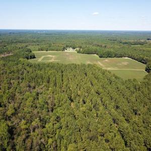Photo of UNDER CONTRACT!  72 Acres of Hunting and Managed Timber Land For Sale in Northampton County NC!