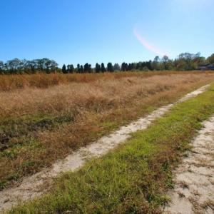 Photo of UNDER CONTRACT!  25 Acres of Residential and Farm Land For Sale in Hoke County NC!