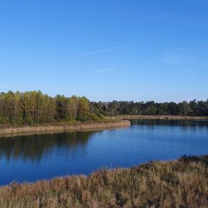 Photo of SOLD!  112 Acres of Farm and Recreational Land For Sale in Robeson County NC!