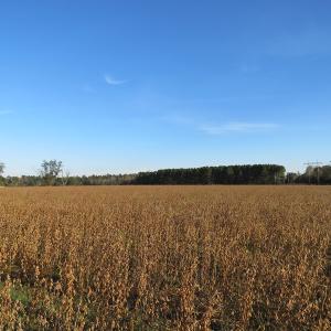 Photo of SOLD!  112 Acres of Farm and Recreational Land For Sale in Robeson County NC!