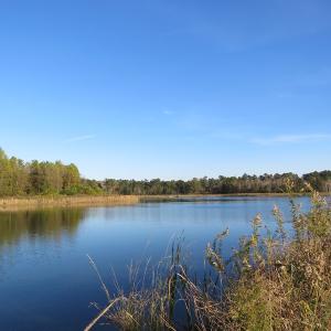 Photo of SOLD!  112 Acres of Farm and Recreational Land For Sale in Robeson County NC!