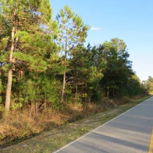 Photo of SOLD!  112 Acres of Farm and Recreational Land For Sale in Robeson County NC!
