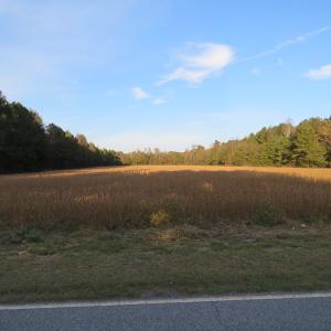 Photo of SOLD!  112 Acres of Farm and Recreational Land For Sale in Robeson County NC!