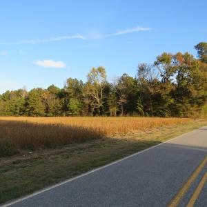 Photo of SOLD!  112 Acres of Farm and Recreational Land For Sale in Robeson County NC!