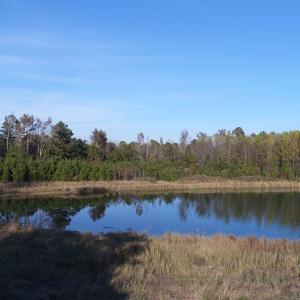 Photo of SOLD!  112 Acres of Farm and Recreational Land For Sale in Robeson County NC!