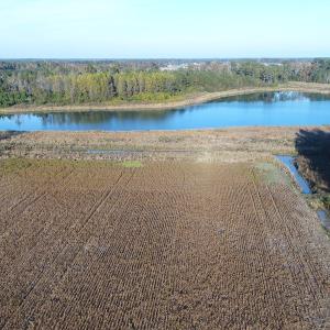 Photo of SOLD!  112 Acres of Farm and Recreational Land For Sale in Robeson County NC!